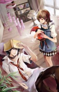 妙医鸿途
