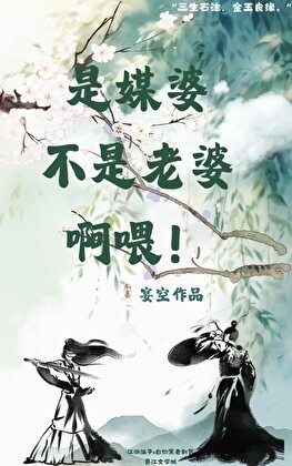 是媒婆不是老婆啊喂！
